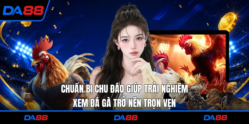 Chuẩn bị chu đáo giúp trải nghiệm xem đá gà trở nên trọn vẹn