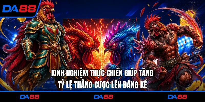 Kinh nghiệm thực chiến giúp tăng tỷ lệ thắng cược lên đáng kể